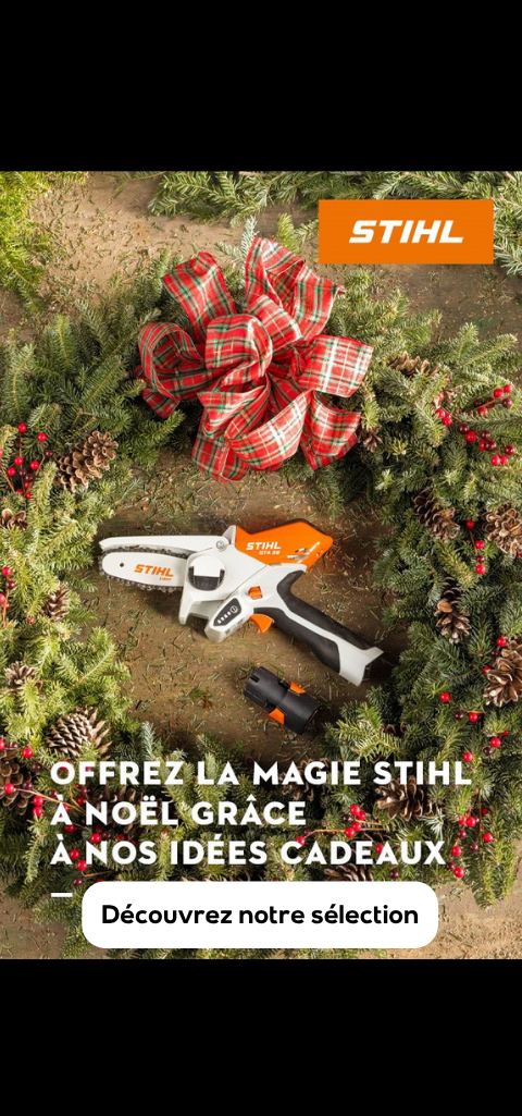 INTERS. STIHL2